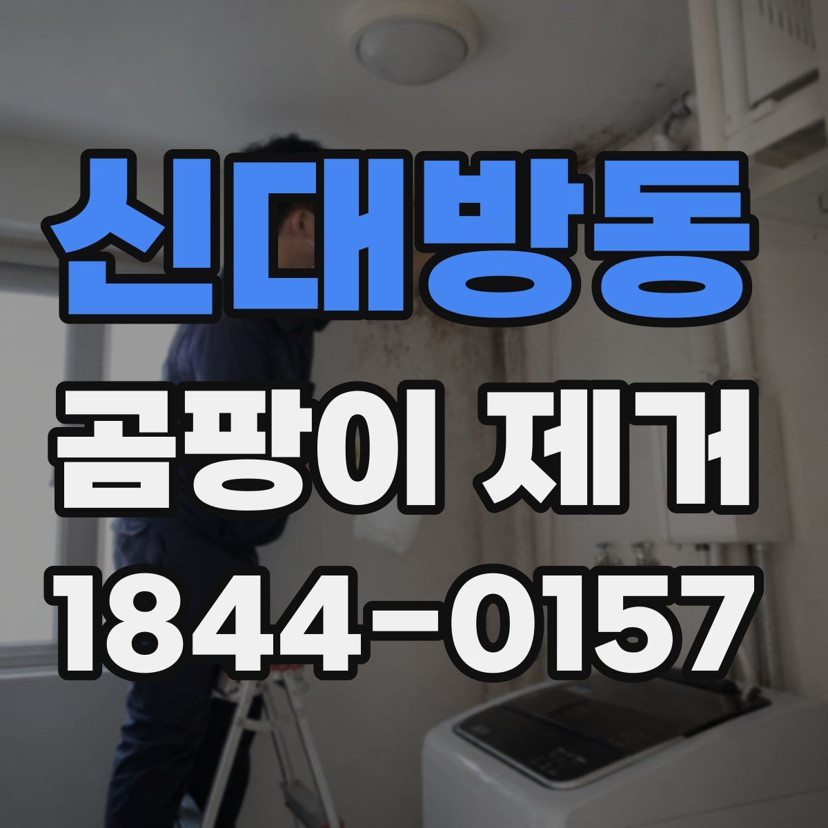 신대방동 곰팡이 제거