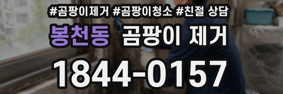 봉천동 곰팡이 제거