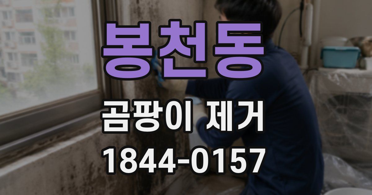 봉천동 곰팡이 제거