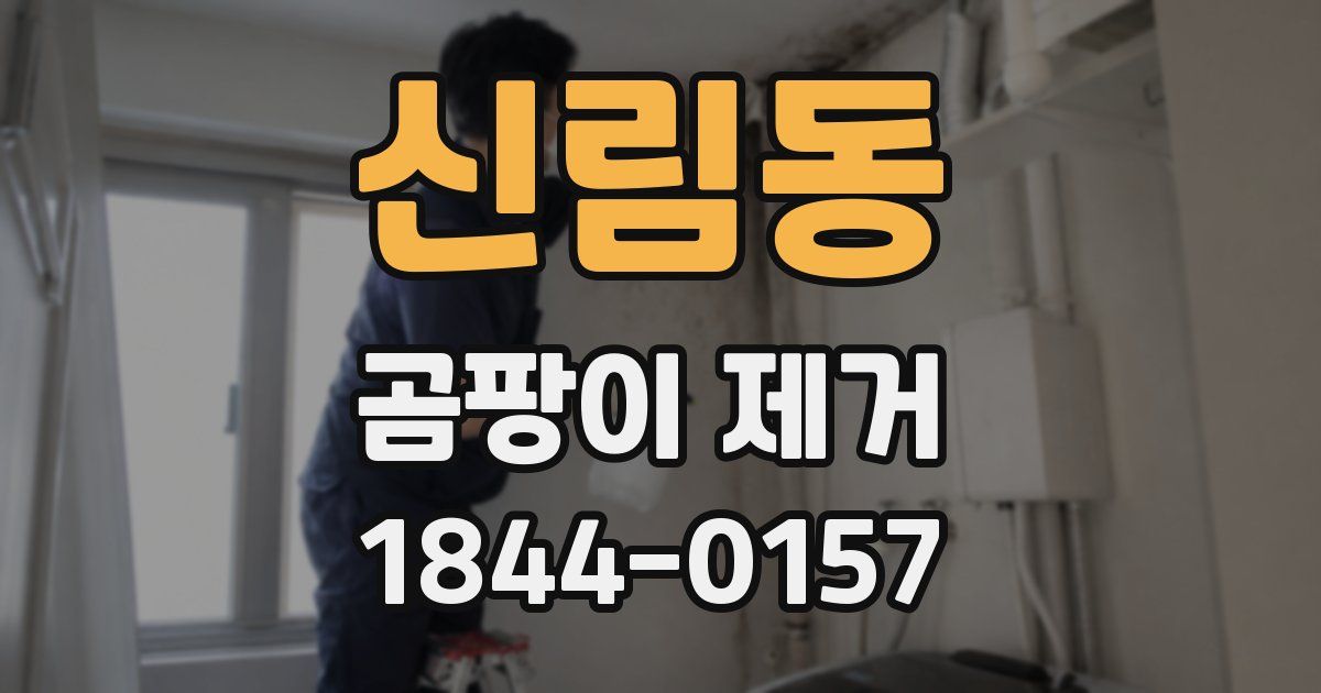 신림동 곰팡이 제거