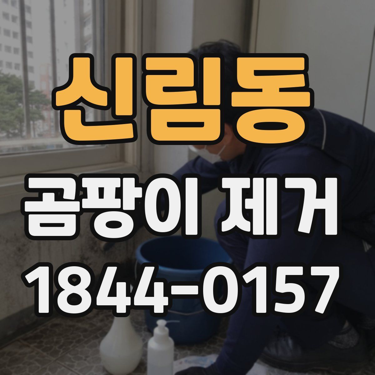 신림동 곰팡이 제거