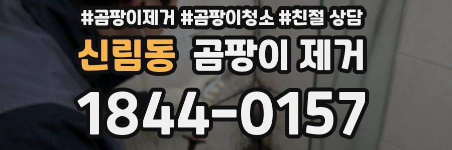 신림동 곰팡이 제거