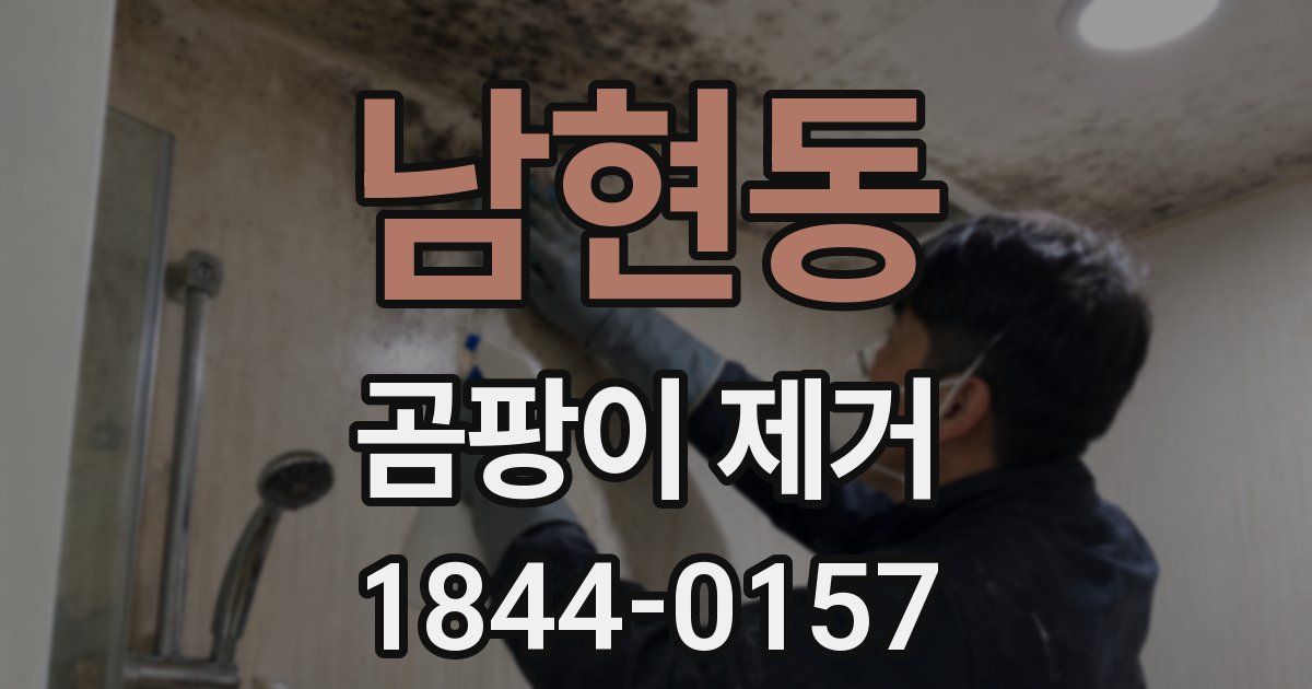 남현동 곰팡이 제거