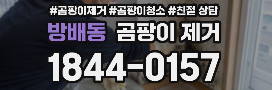 방배동 곰팡이 제거