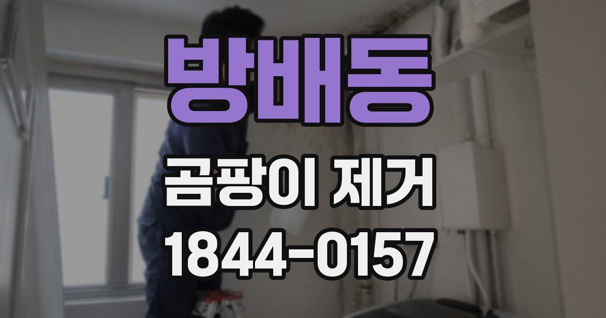 방배동 곰팡이 제거