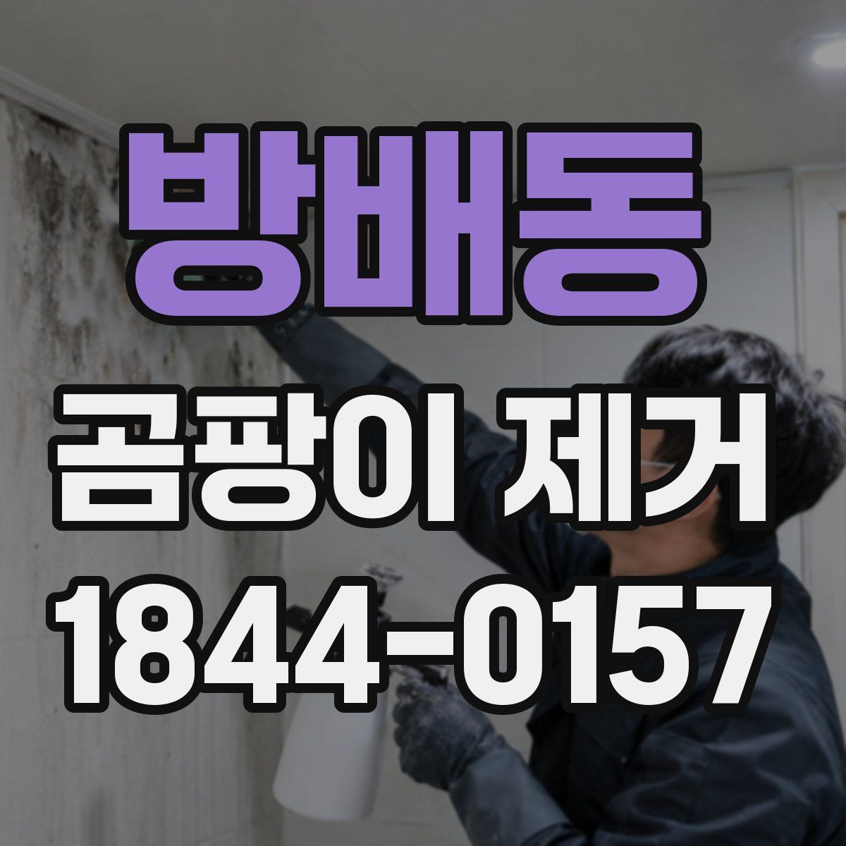방배동 곰팡이 제거