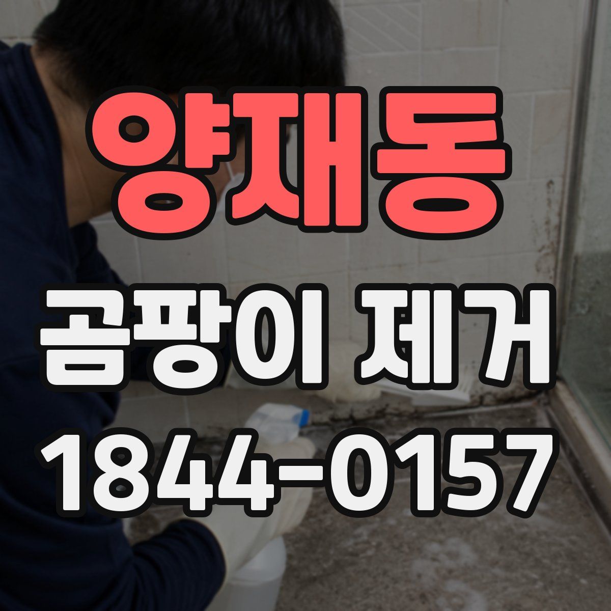 양재동 곰팡이 제거