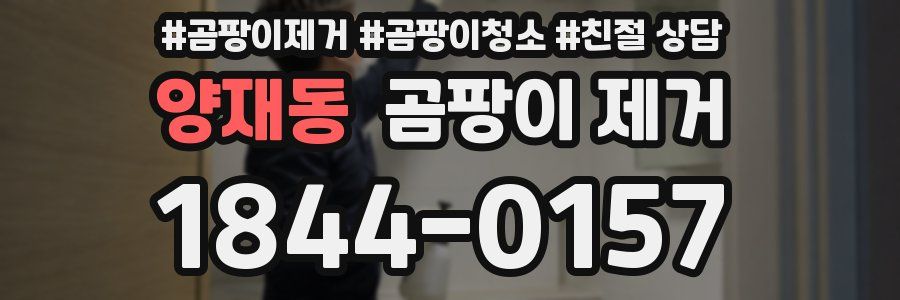 양재동 곰팡이 제거