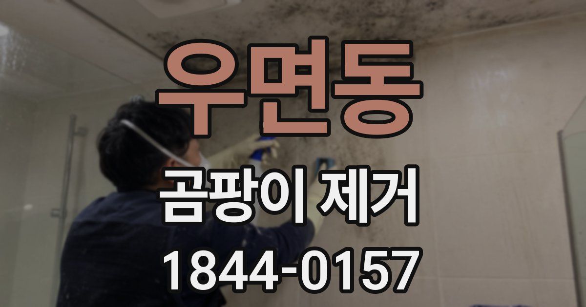 우면동 곰팡이 제거
