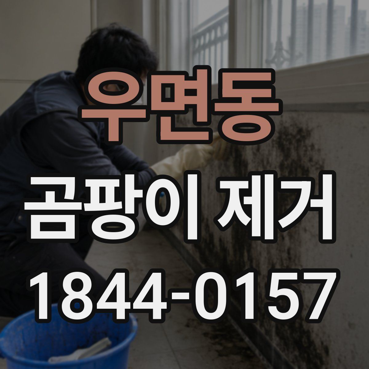 우면동 곰팡이 제거