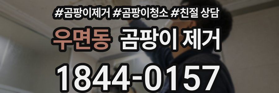 우면동 곰팡이 제거
