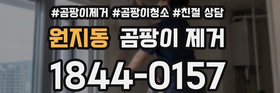 원지동 곰팡이 제거
