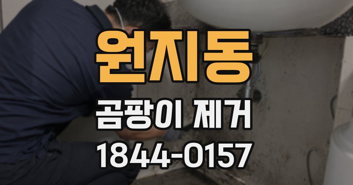 원지동 곰팡이 제거