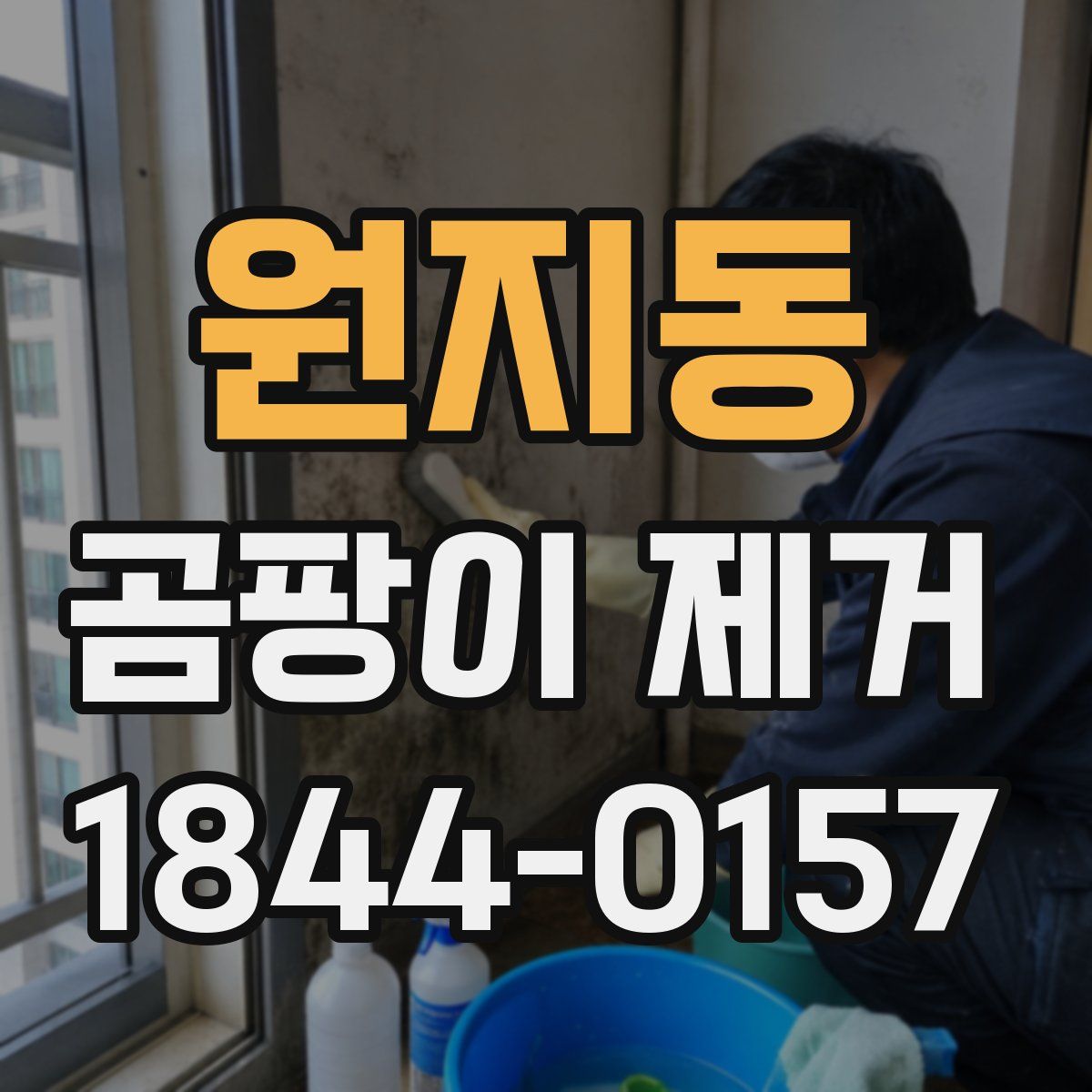 원지동 곰팡이 제거