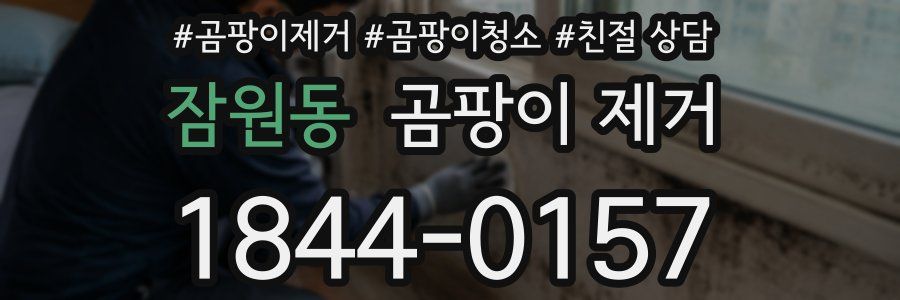 잠원동 곰팡이 제거