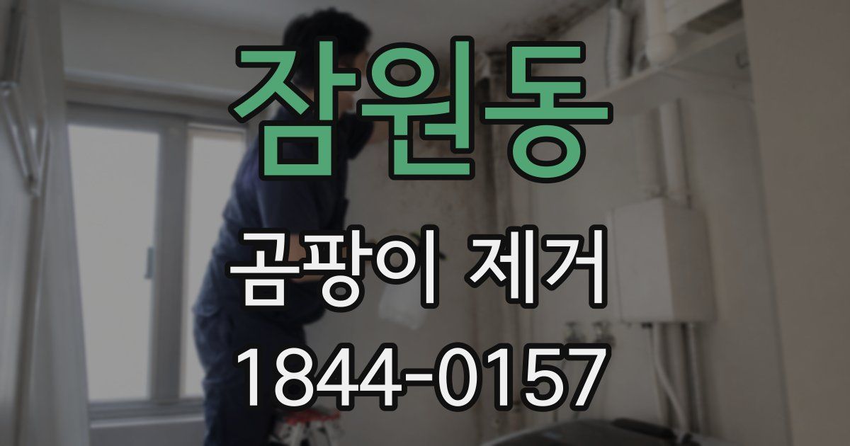 잠원동 곰팡이 제거