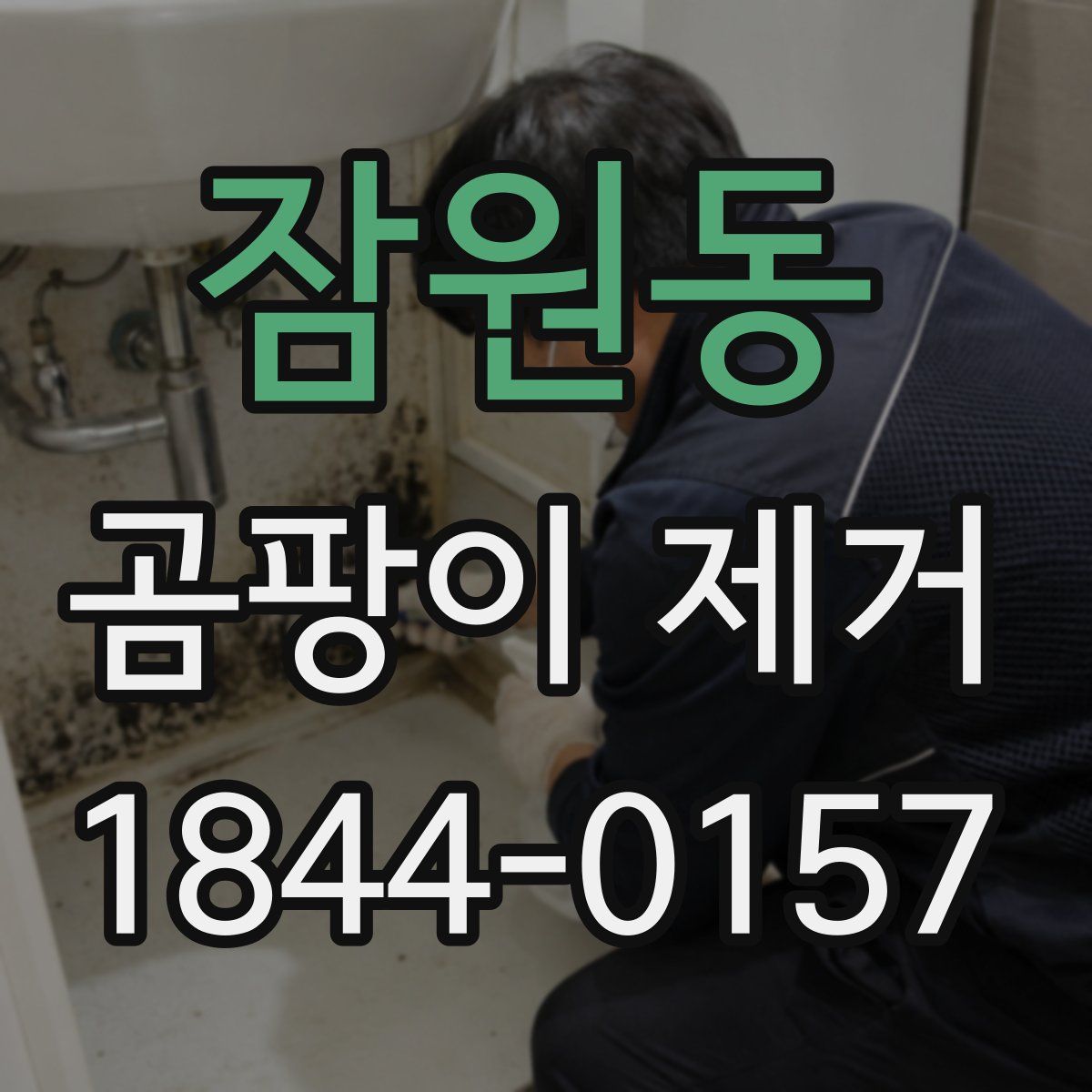 잠원동 곰팡이 제거
