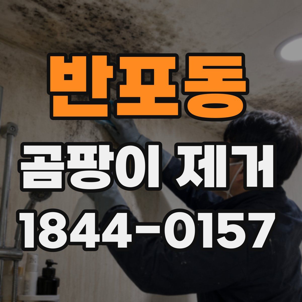 반포동 곰팡이 제거