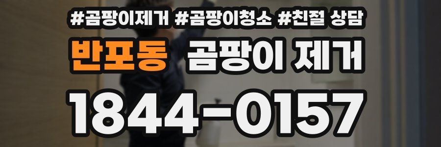 반포동 곰팡이 제거