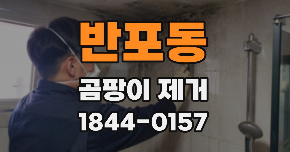 반포동 곰팡이 제거