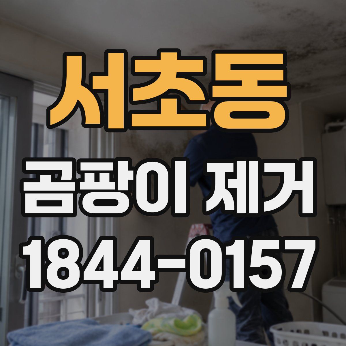 서초동 곰팡이 제거