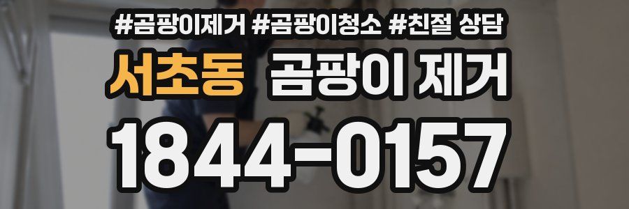 서초동 곰팡이 제거