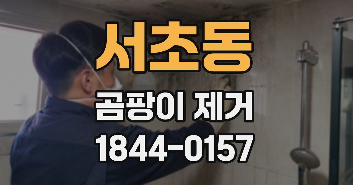 서초동 곰팡이 제거