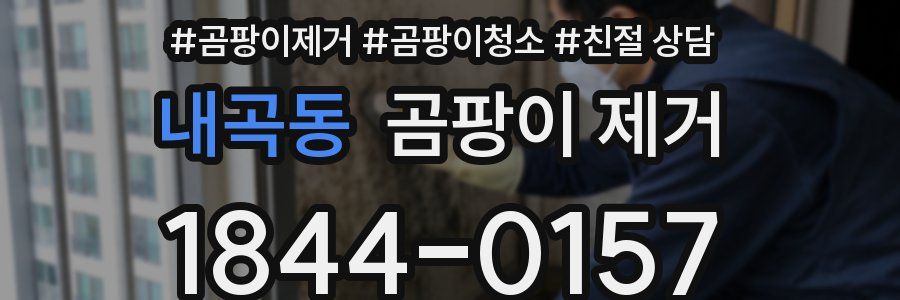내곡동 곰팡이 제거