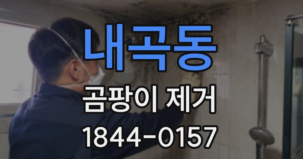 내곡동 곰팡이 제거