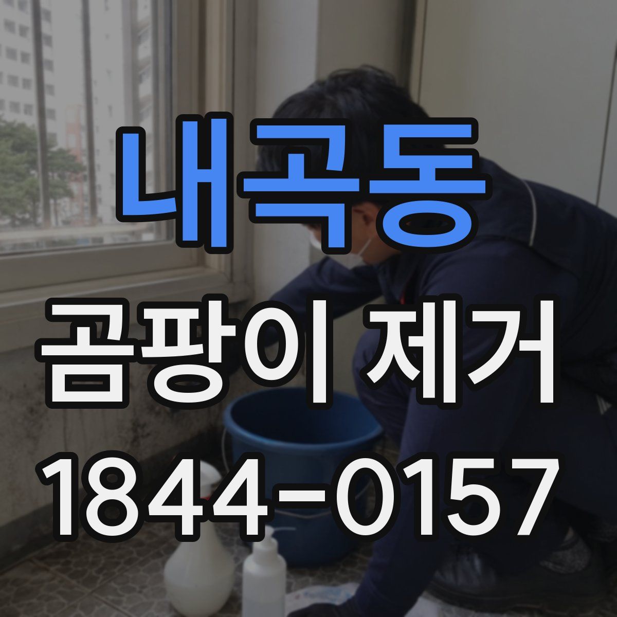 내곡동 곰팡이 제거