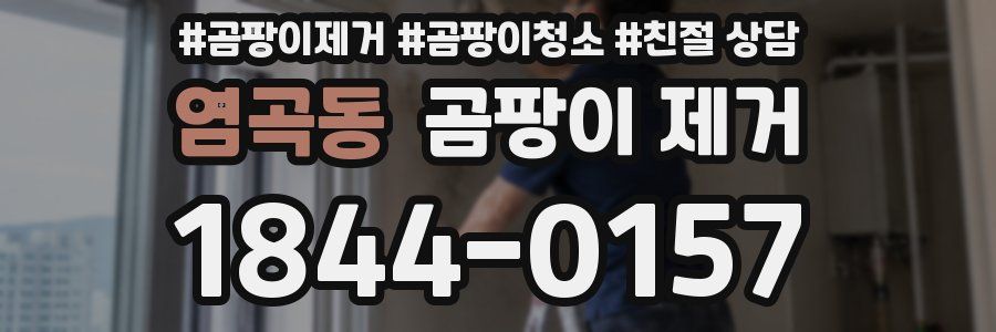 염곡동 곰팡이 제거