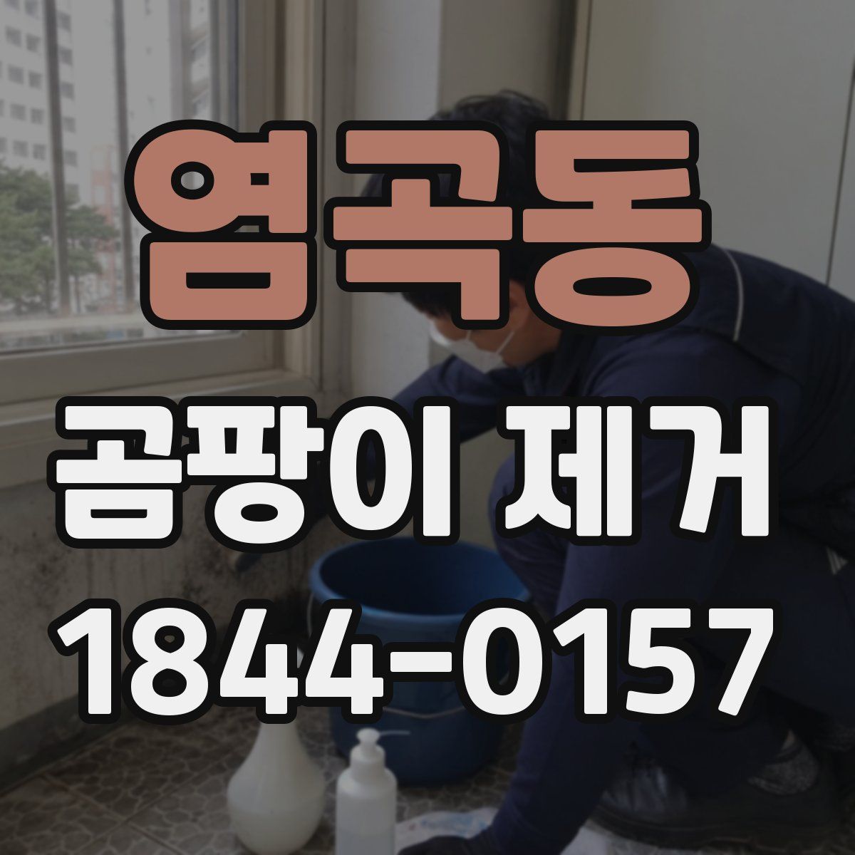 염곡동 곰팡이 제거