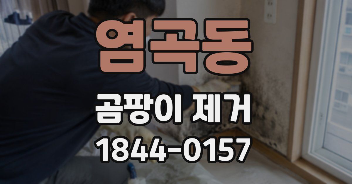 염곡동 곰팡이 제거