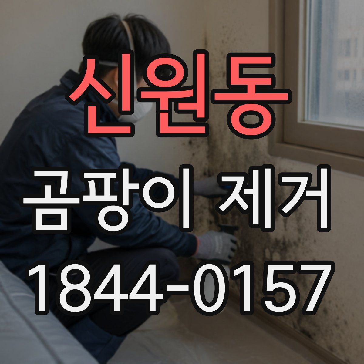 신원동 곰팡이 제거