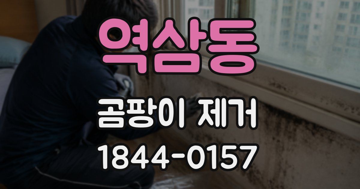 역삼동 곰팡이 제거