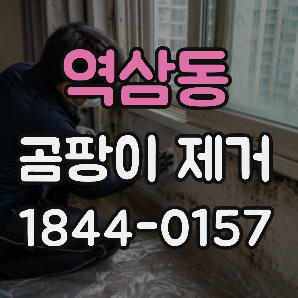 역삼동 곰팡이 제거