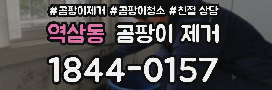 역삼동 곰팡이 제거