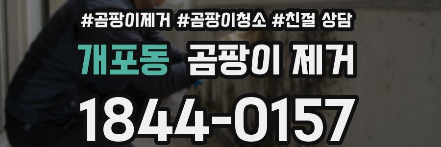 개포동 곰팡이 제거