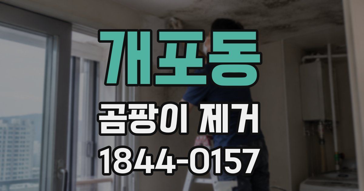 개포동 곰팡이 제거