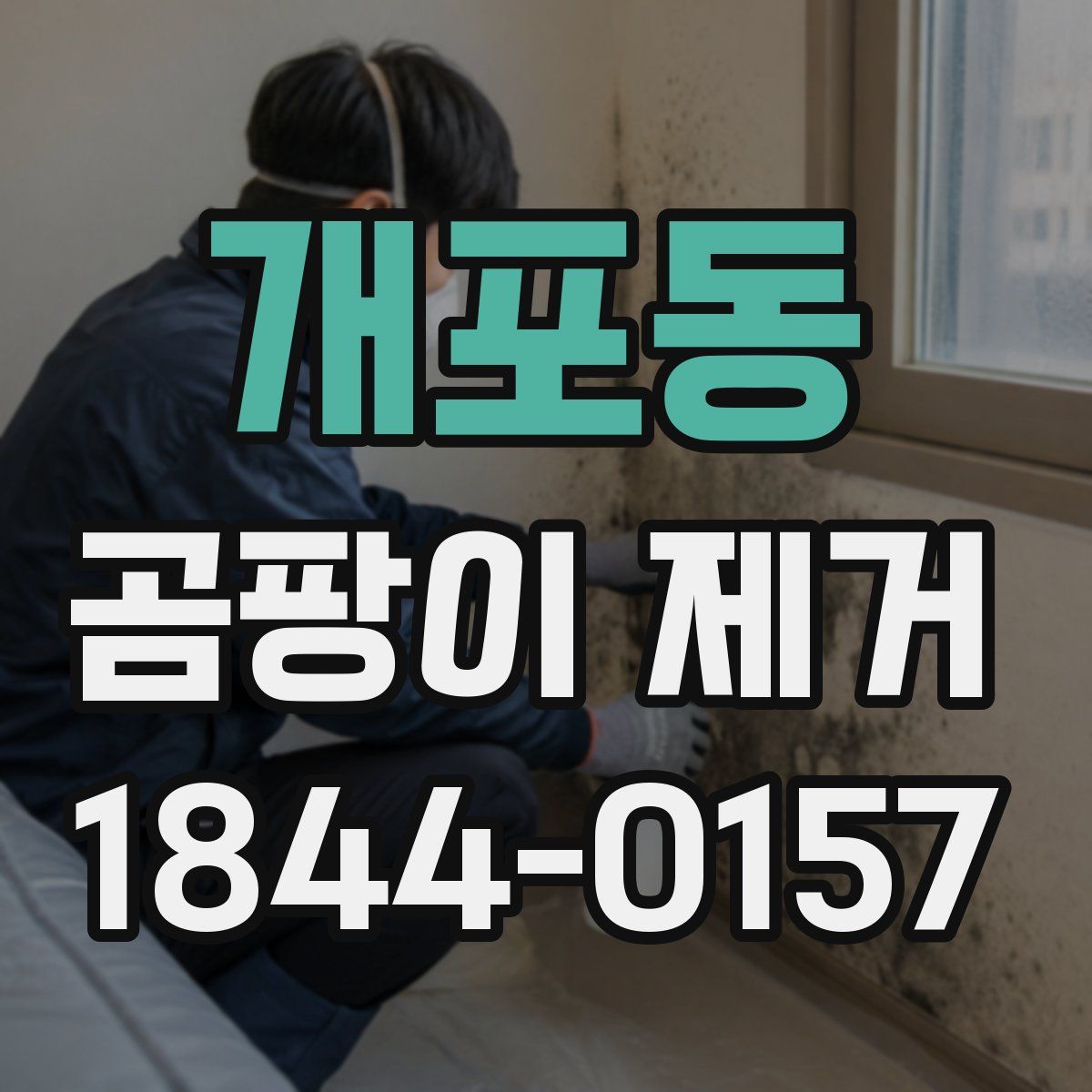 개포동 곰팡이 제거