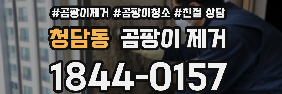 청담동 곰팡이 제거