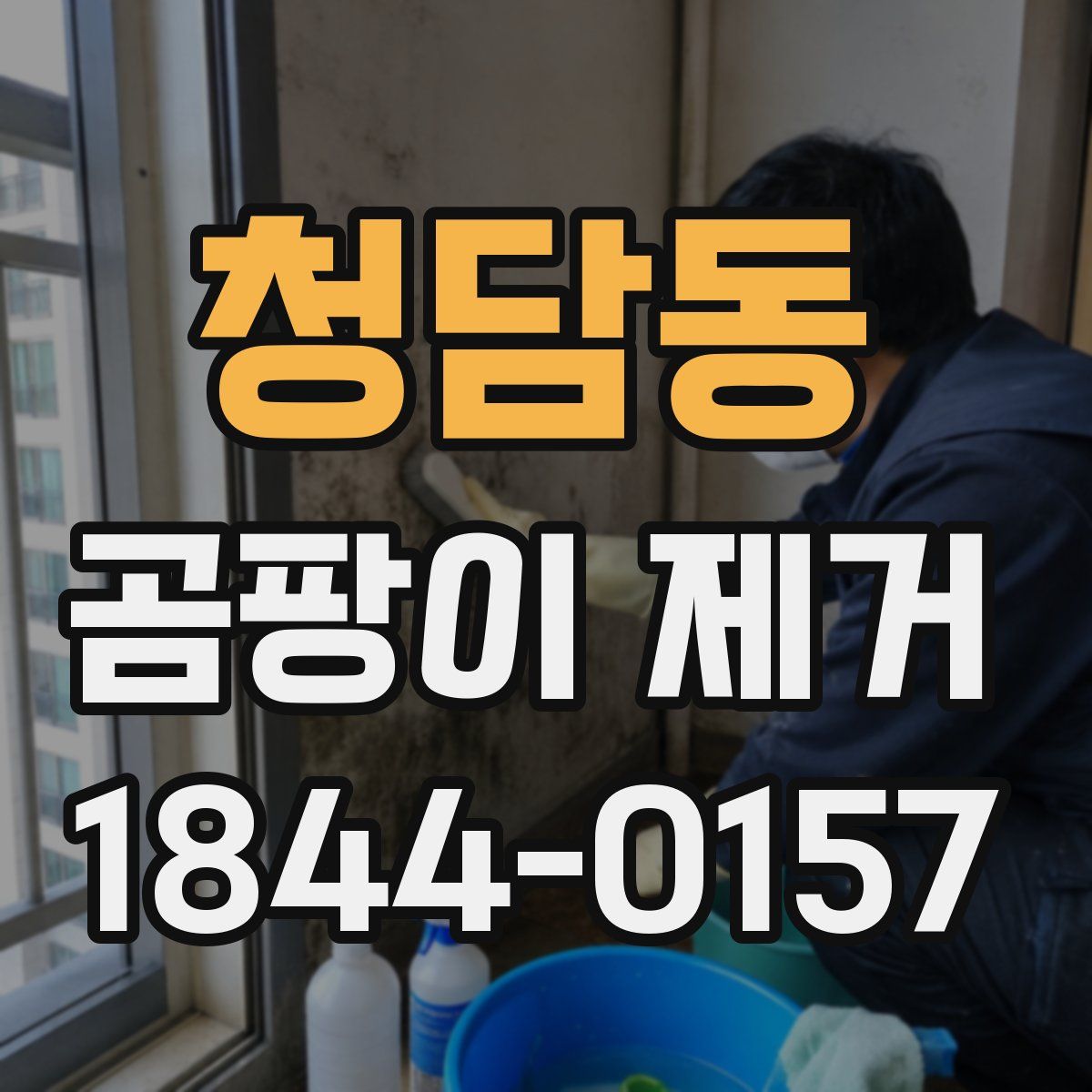 청담동 곰팡이 제거