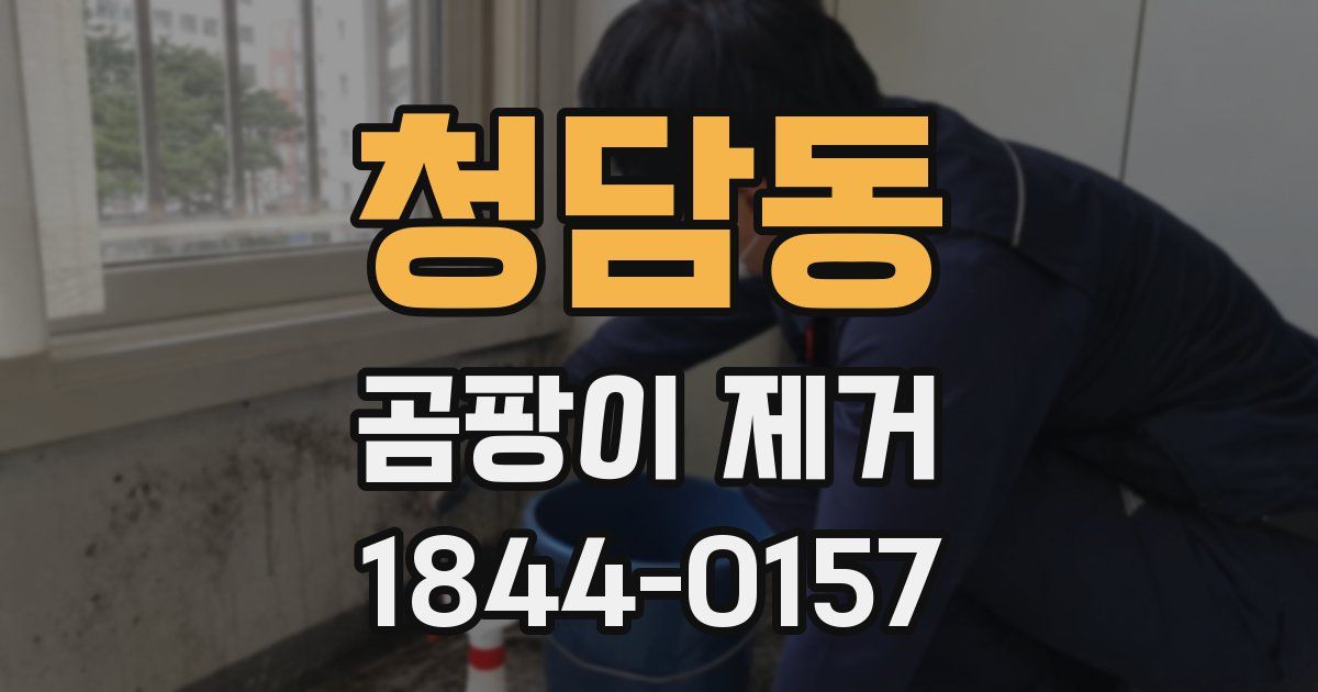 청담동 곰팡이 제거