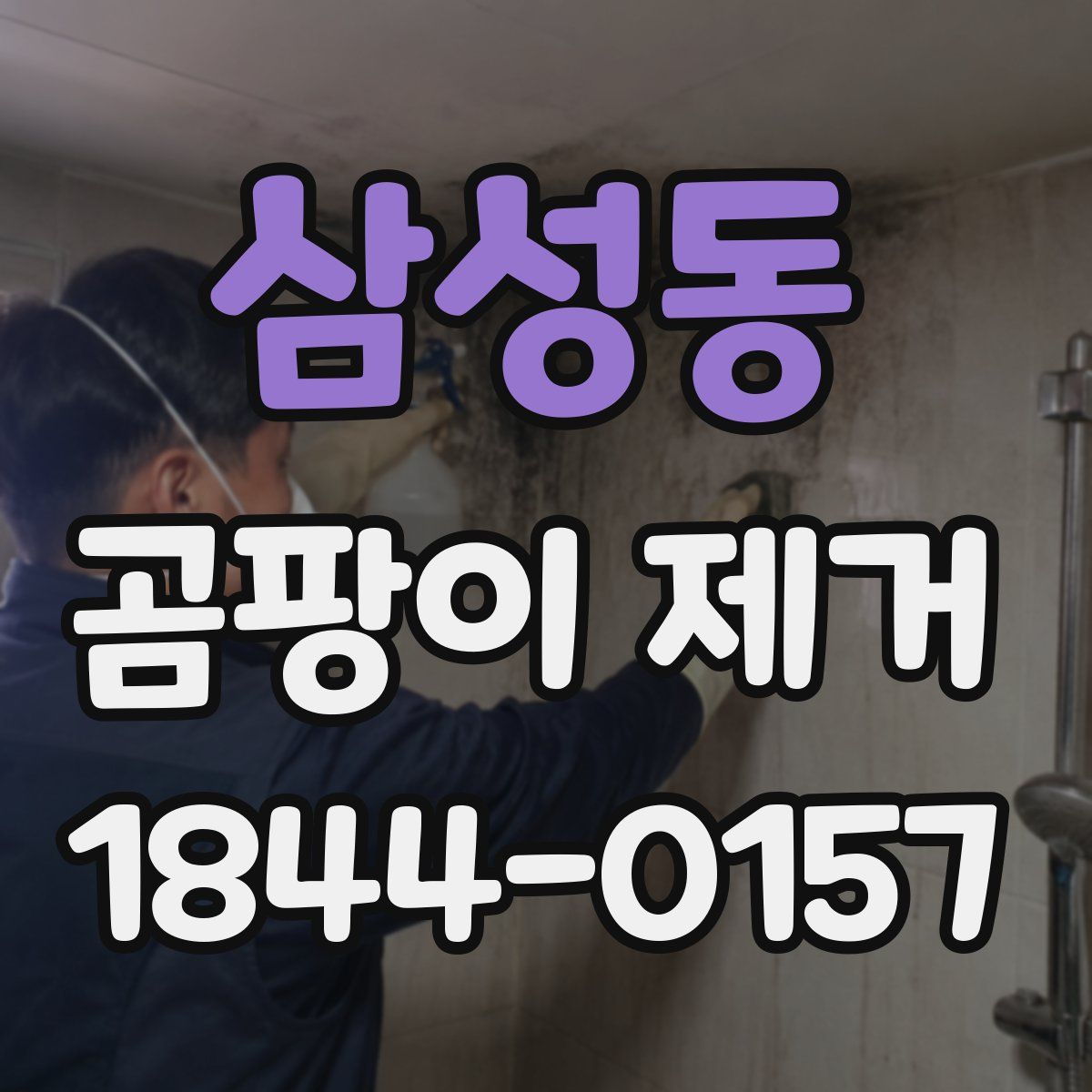 삼성동 곰팡이 제거