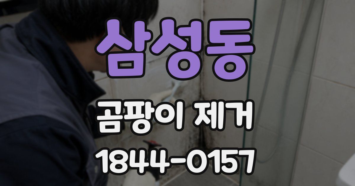 삼성동 곰팡이 제거