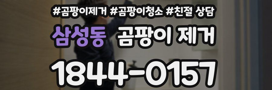 삼성동 곰팡이 제거