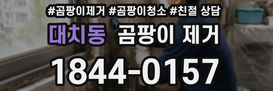 대치동 곰팡이 제거