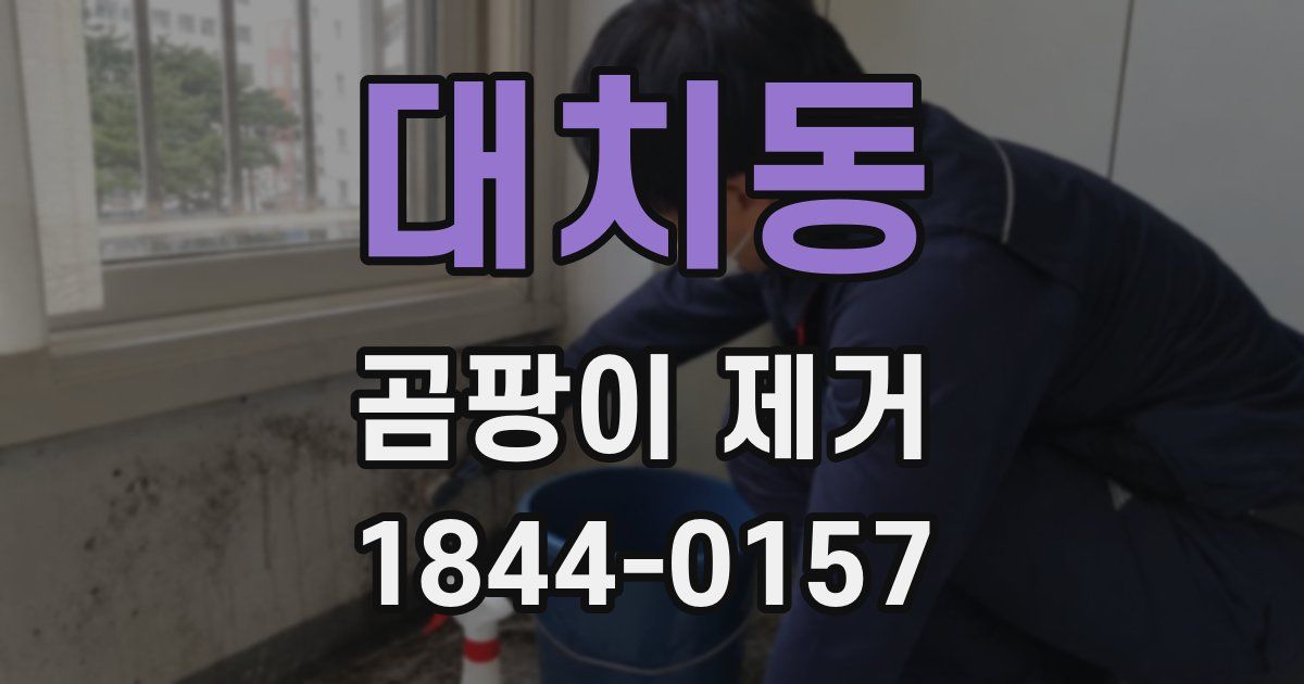 대치동 곰팡이 제거