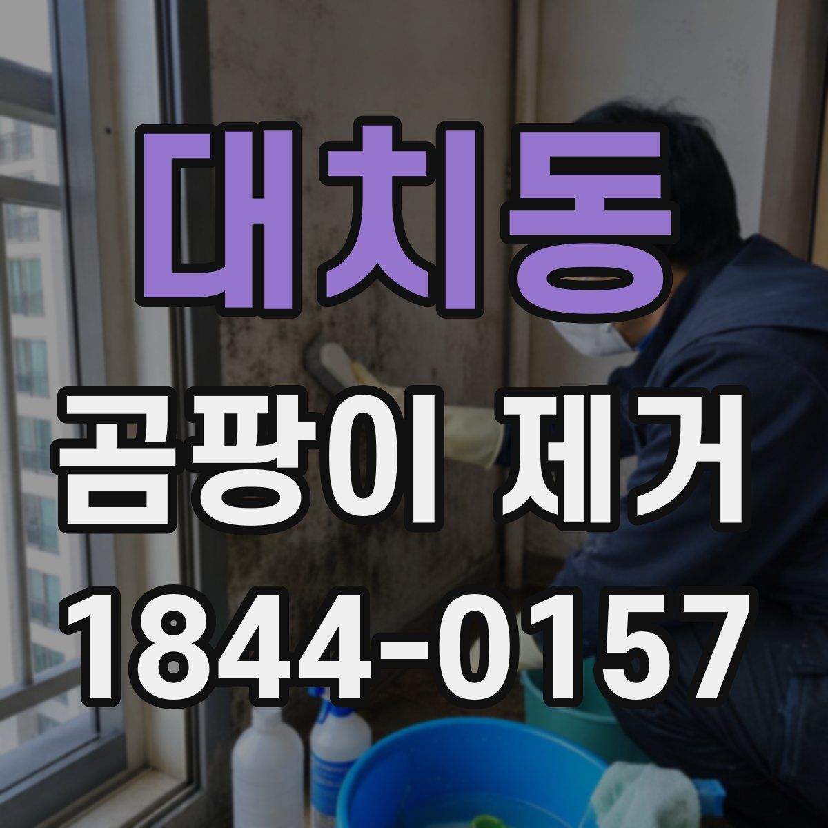 대치동 곰팡이 제거
