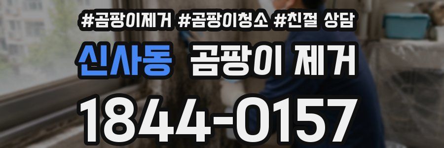 신사동 곰팡이 제거